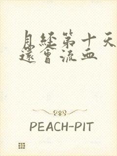 月经第十天拉尿还会流血