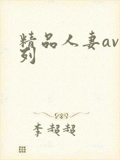 精品人妻av系列