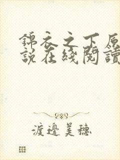 锦衣之下原著小说在线阅读