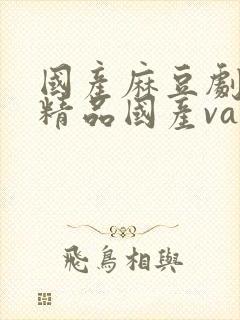 国产麻豆剧传媒精品国产va