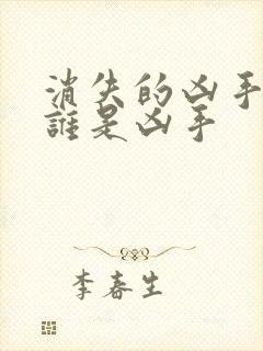 消失的凶手到底谁是凶手