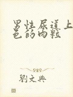 男性尿道上有白色的肉粒封面