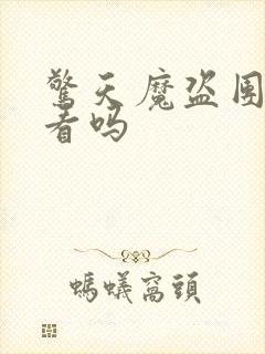 惊天魔盗团2好看吗