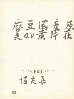 麻豆国产原创精美av黄片在线看