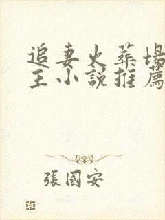 追妻火葬场双男主小说推荐