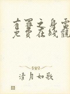 有罪之身电视剧免费在线观看