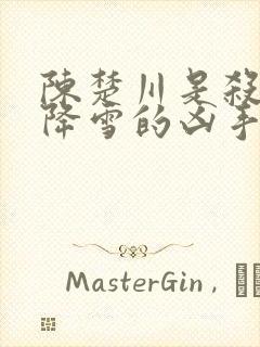 陈楚川是杀害樊降雪的凶手吗