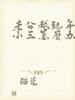 老公越轨年轻的小三怎么办