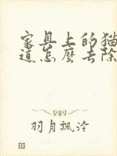 家具上的猫尿味道怎么去除