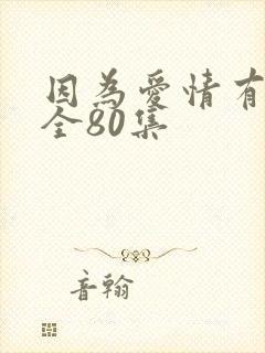 因为爱情有多美全80集封面