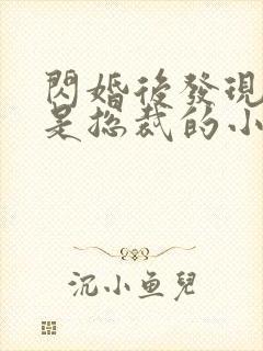 闪婚后发现老公是总裁的小说封面