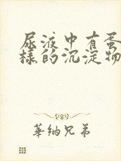 尿液中有蛋清一样的沉淀物