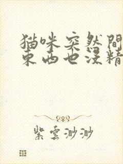 猫咪突然间不吃东西也没精神