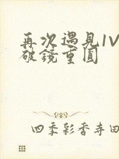 再次遇见1V1破镜重圆封面