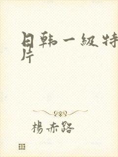 日韩一级特黄大片