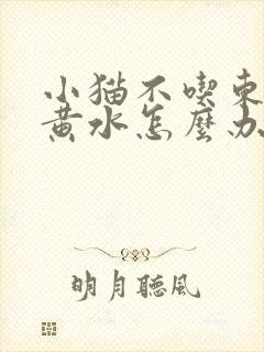 小猫不吃东西吐黄水怎么办封面