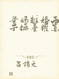 爸妈离婚两个孩子抚养权怎么判