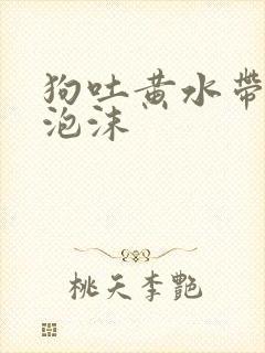 狗吐黄水带白色泡沫