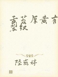 舌苔厚黄有齿痕裂纹