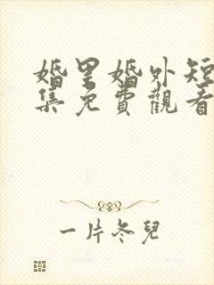 婚里婚外短剧全集免费观看封面