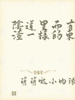 阴道里面有豆腐渣一样的东西,还痒