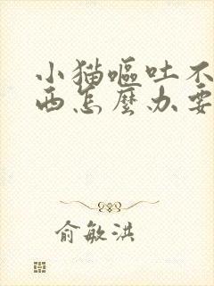 小猫呕吐不吃东西怎么办要吃什么药