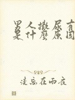 男人撒尿有点痛是什么原因引起的