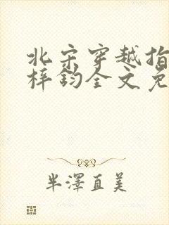 北宋穿越指南王梓钧全文免费阅读