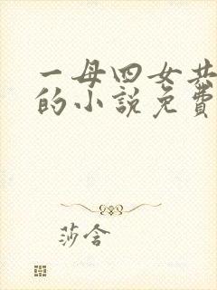 一母四女共一婿的小说免费阅读小冉