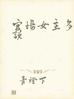 官场女主多的小说封面