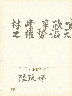 林峰 宁欣官道之权势滔天封面