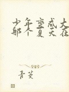 少年变成大人的那个夏天在线观看