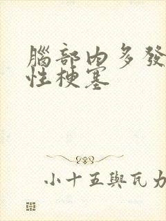 脑部内多发腔隙性梗塞