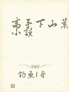 高手下山叶君临小说