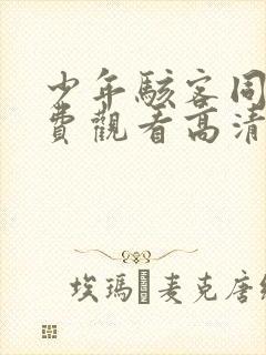 少年骇客同人免费观看高清动漫