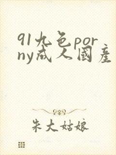 91九色porny成人国产封面