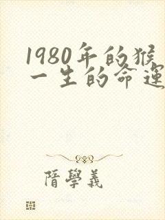 1980年的猴一生的命运封面