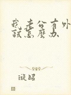 我老公有外遇我该怎么办封面