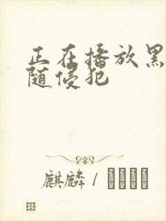 正在播放黑人尾随侵犯封面