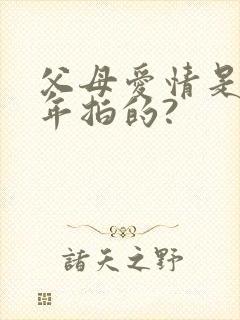 父母爱情是哪一年拍的?