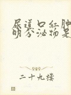 尿道口红肿有透明分泌物是什么病封面