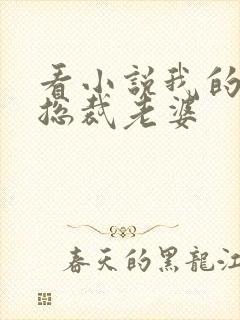 看小说我的冷艳总裁老婆封面