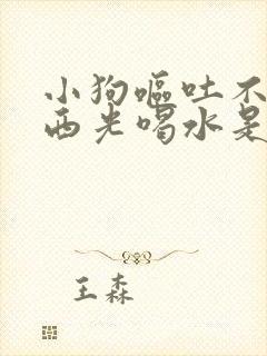 小狗呕吐不吃东西光喝水是怎么回事