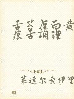 舌苔厚白黄有齿痕舌调理