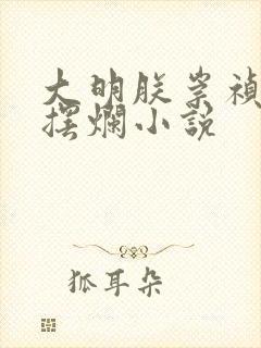 大明朕崇祯只想摆烂小说封面