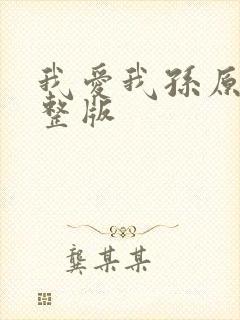 我爱我孙原唱完整版