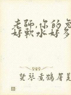 老师,你的兔子好软水好多
