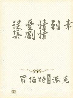 从爱情到幸福分集剧情封面