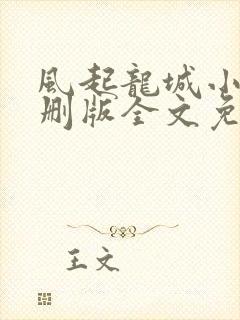 风起龙城小说未删版全文免费阅读封面