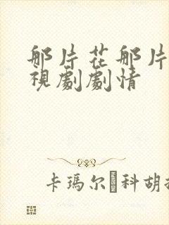 那片花那片海电视剧剧情